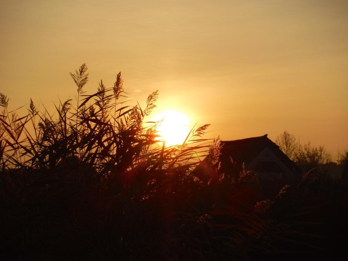 Pfahlbau Sunset I Toplage Elektroboot Inklusive Руст Екстериор снимка